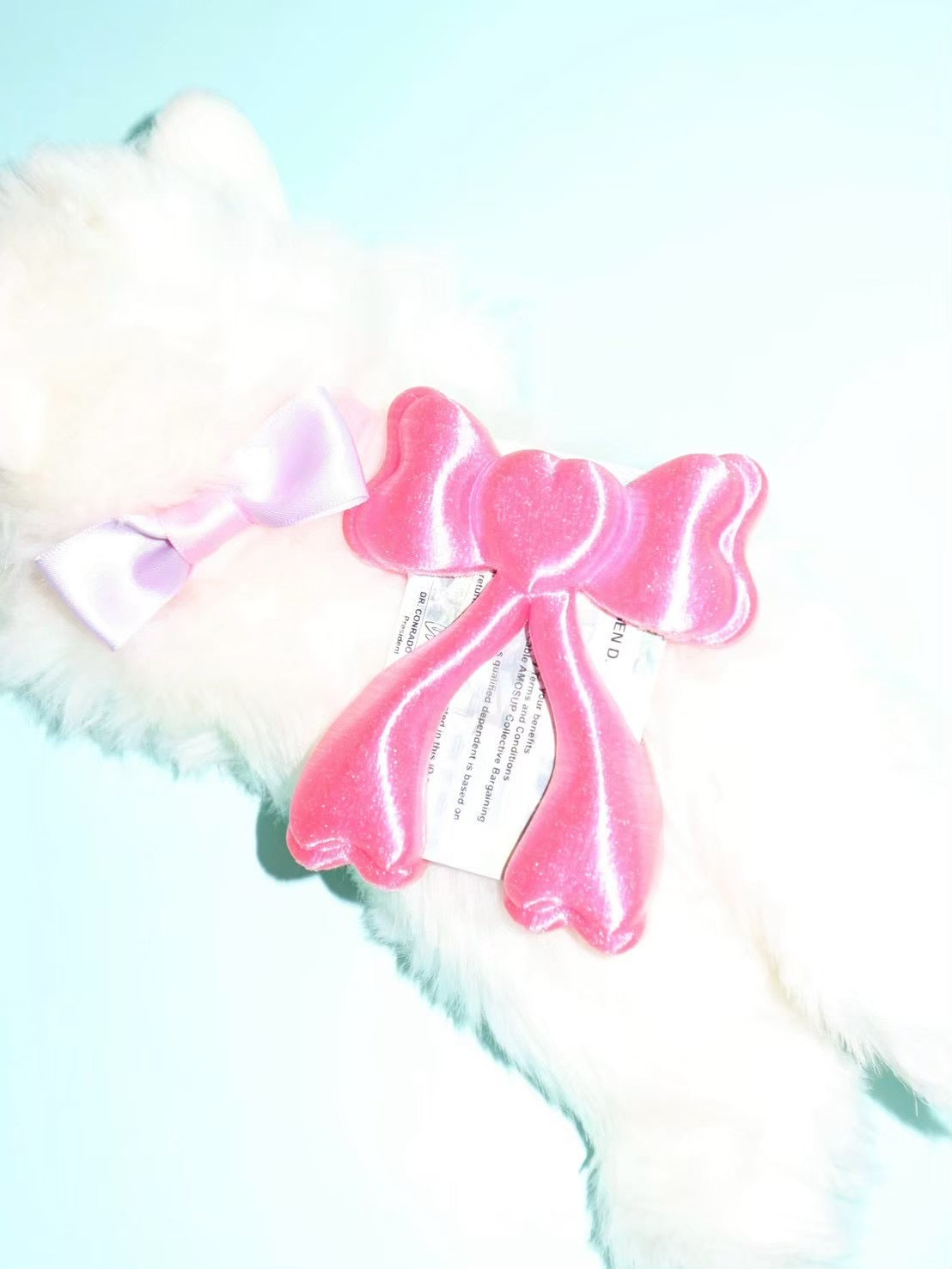 【EVERYTHINGS】Bows Card-Holder