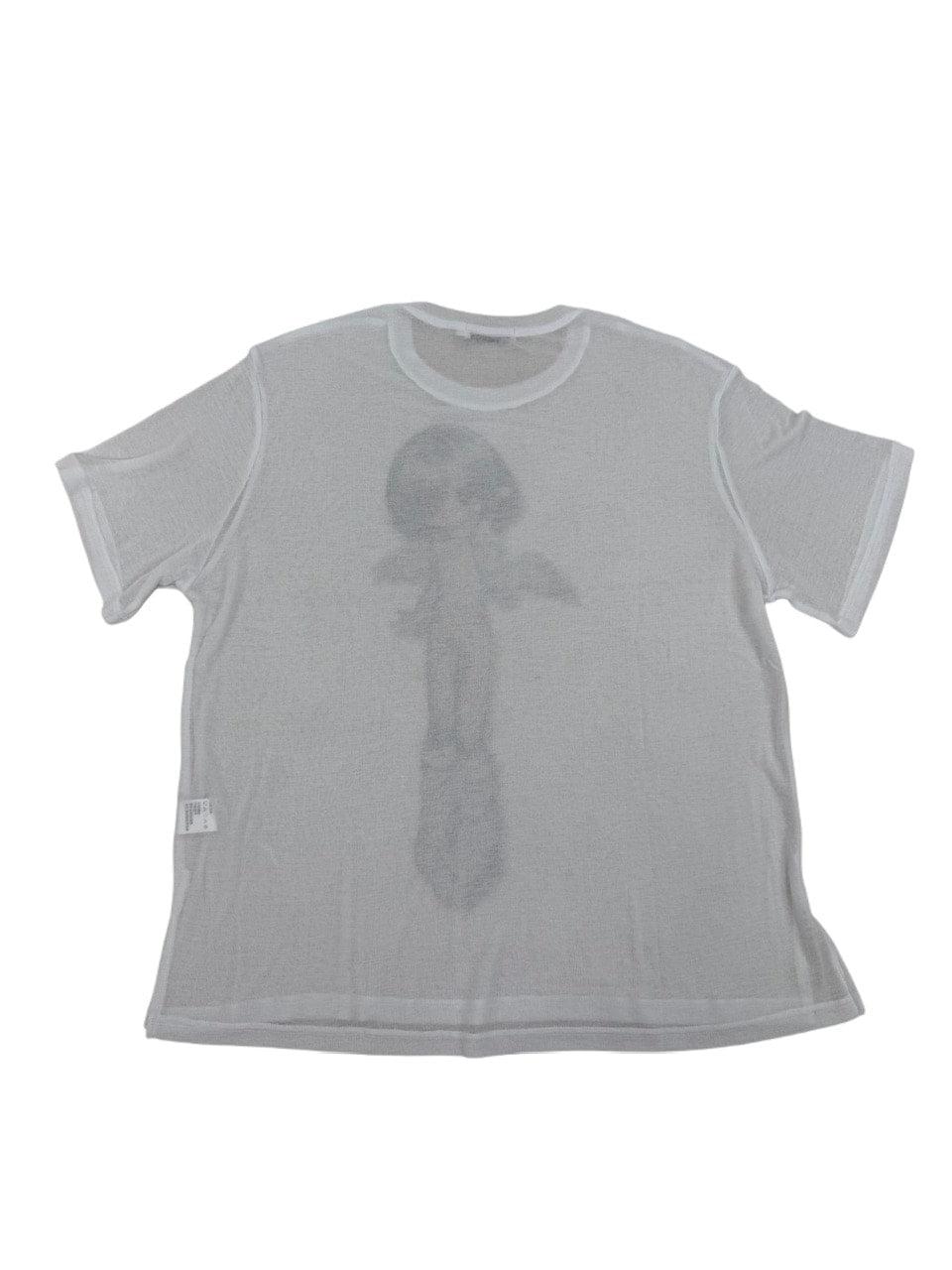 国際配送【Nerd out XU】Girl is angel see-through tee (2color)