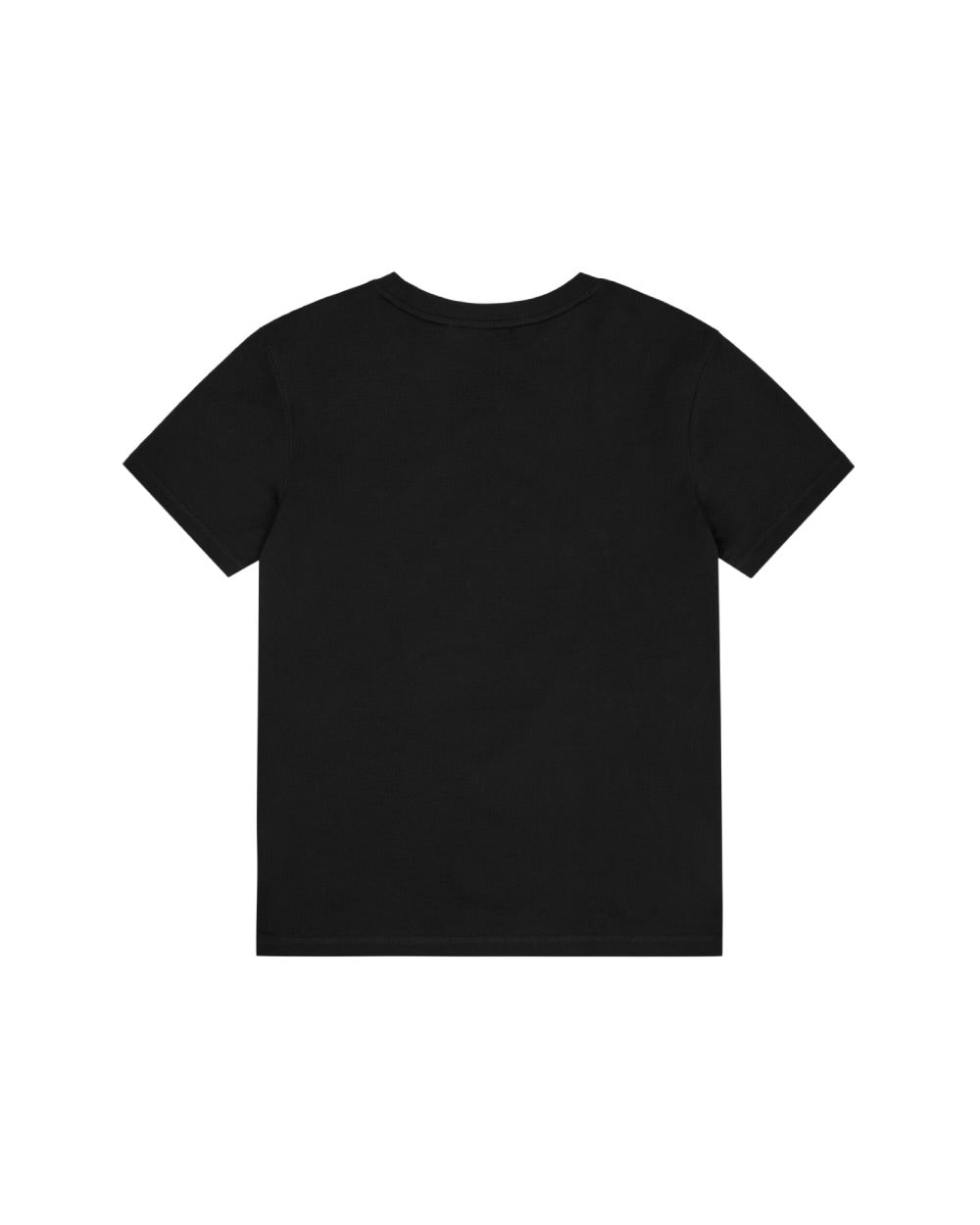 【AAKAM】Dino Patch Half Top