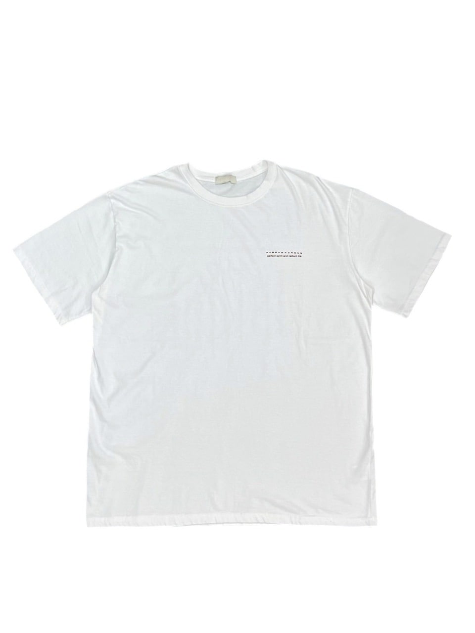受注制【Chikashitsu +】nail back print t-shirt (3color)
