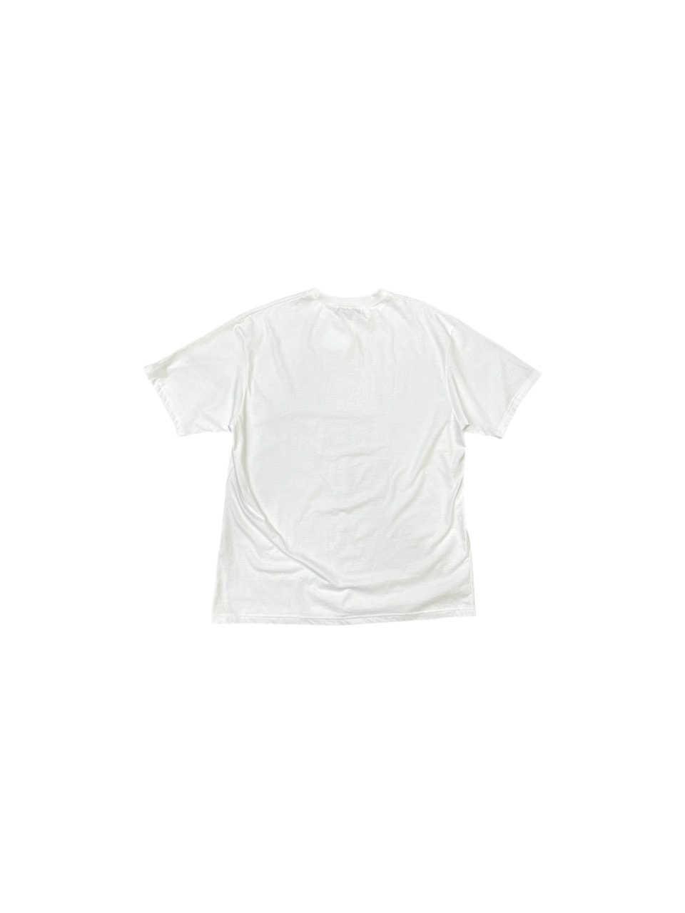 受注制【Chikashitsu +】oversized graphic t-shirt 2 (2color)