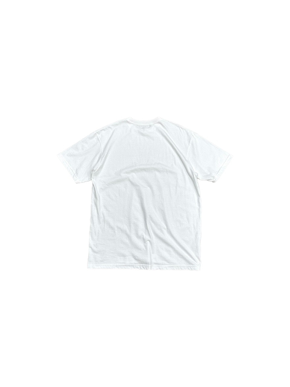 大阪店WEB限定【Chikashitsu +】oversized cats t-shirt (2color)