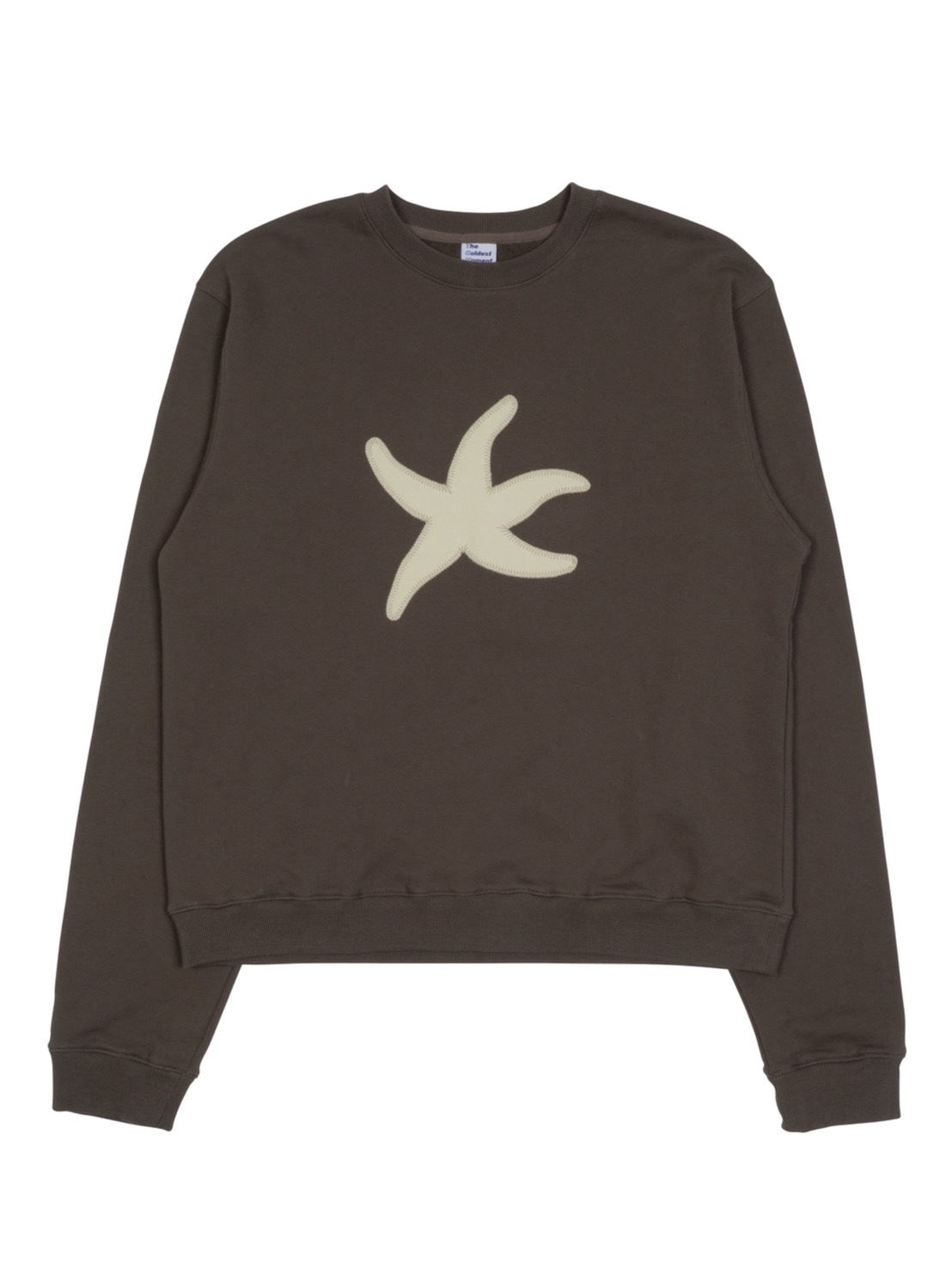 【THECOLDESTMOMENT】TCM starfish mtm