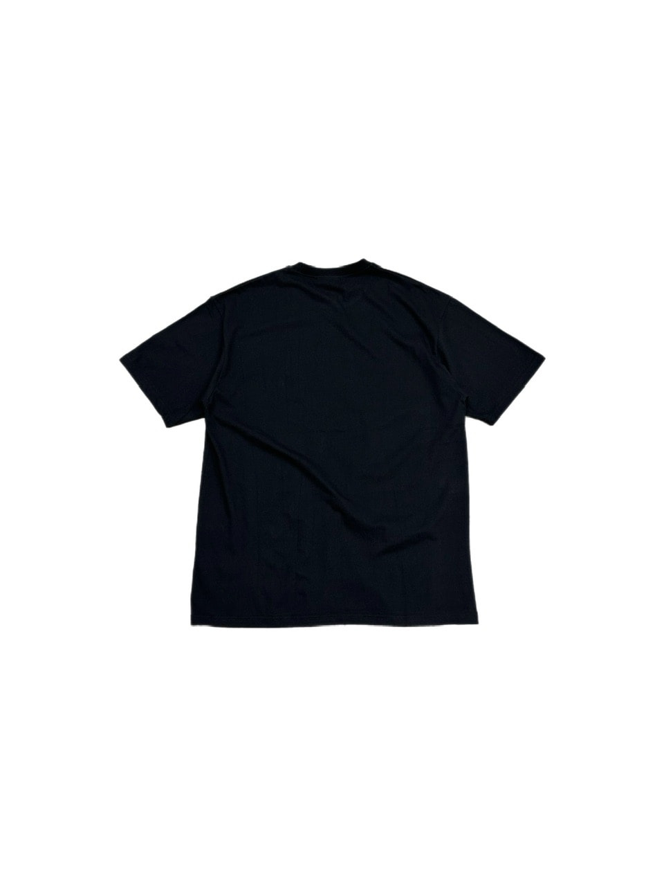 大阪店WEB限定【Chikashitsu +】oversized cats t-shirt (2color)