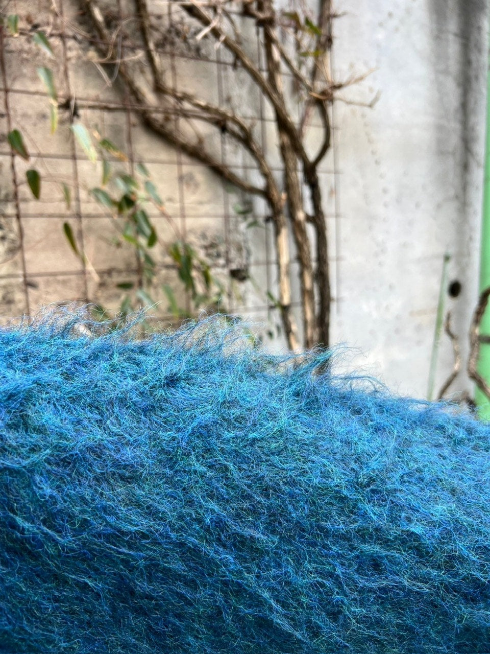 【Chikashitsu +】half off shoulder button knit (3color)