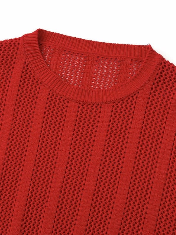 【DNSR】Meshed Crop Knit