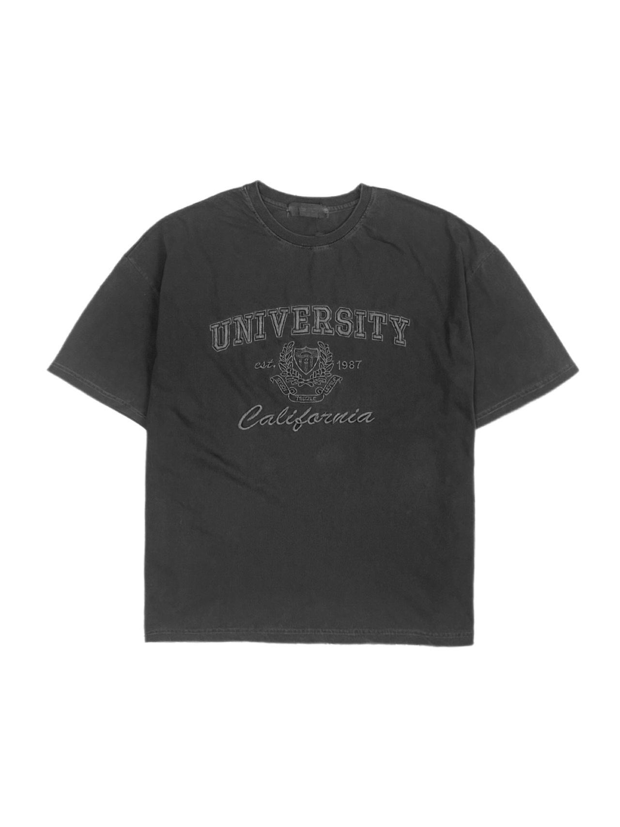 受注制【Chikashitsu +】pigment university t-shirt (3color)