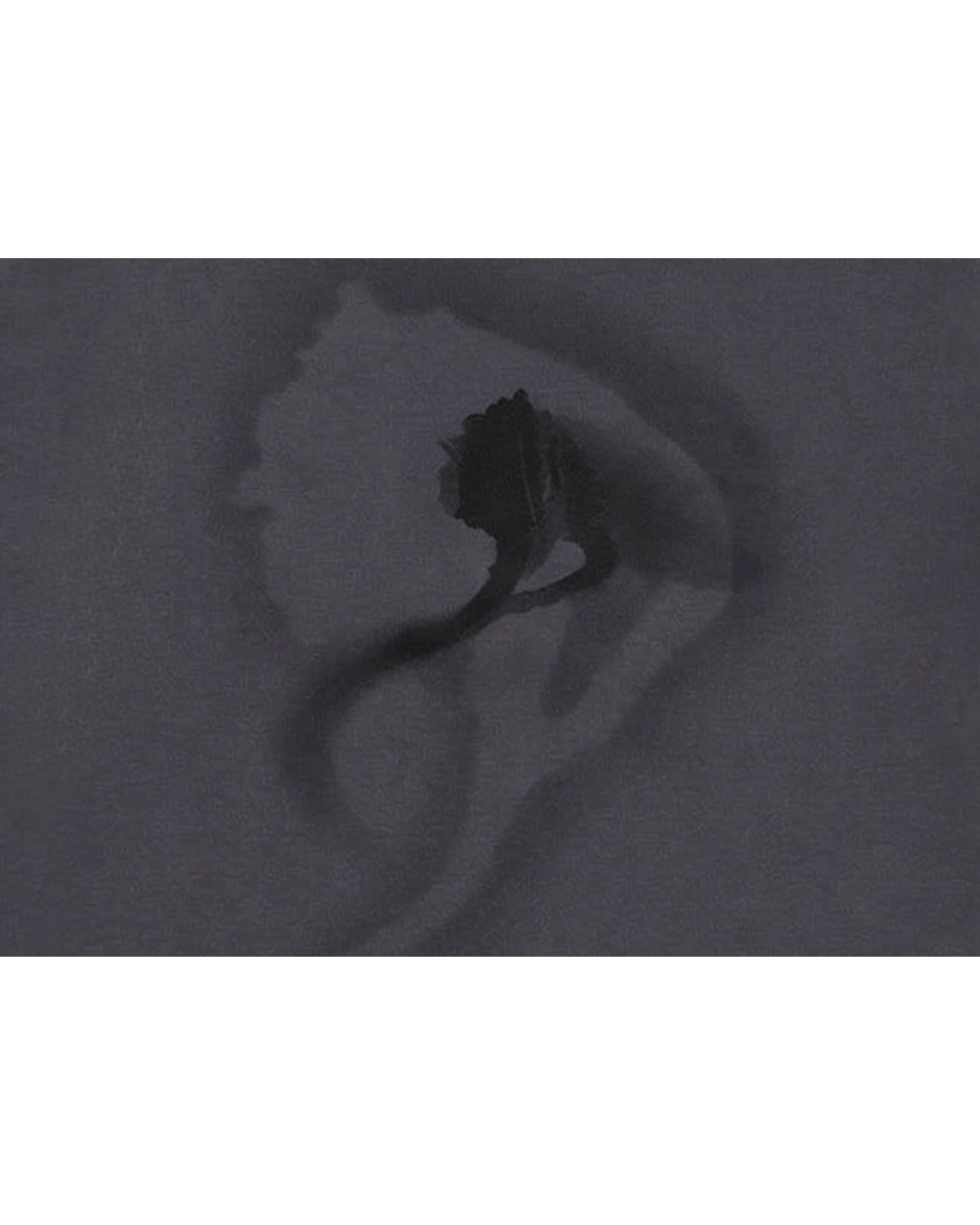【BLR BLUER】Traced Flower Long Sleeve