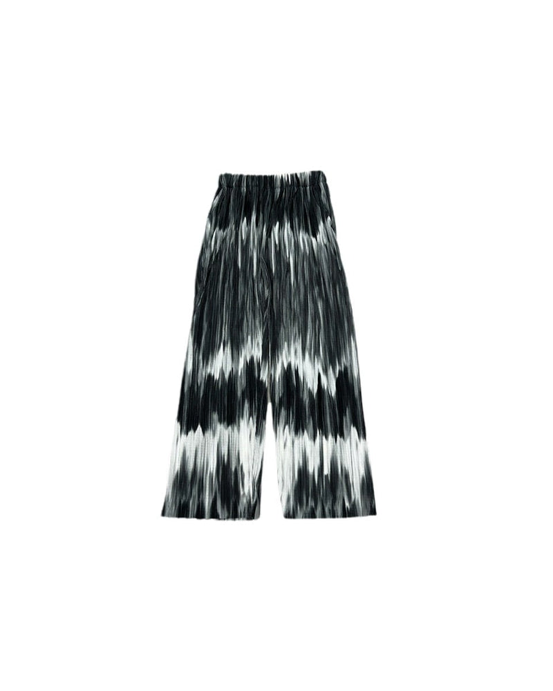 受注制【Chikashitsu +】pattern pleats pants (2color)