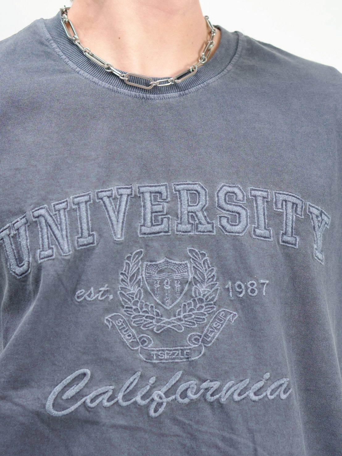 受注制【Chikashitsu +】pigment university t-shirt (3color)