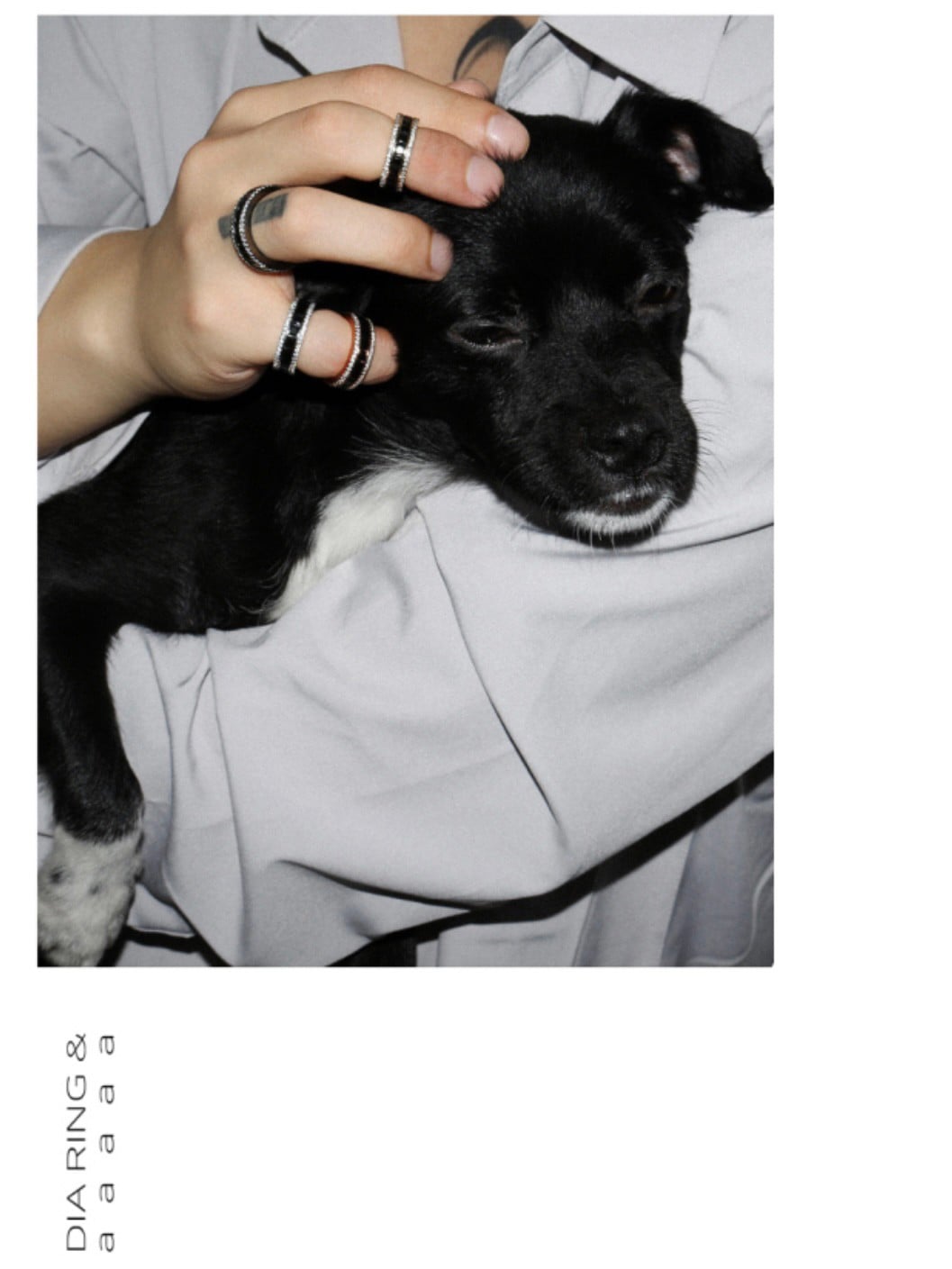 【BLACK PURPLE】AAA DIA CRYSTAL 3-LINE RING (BLACK)