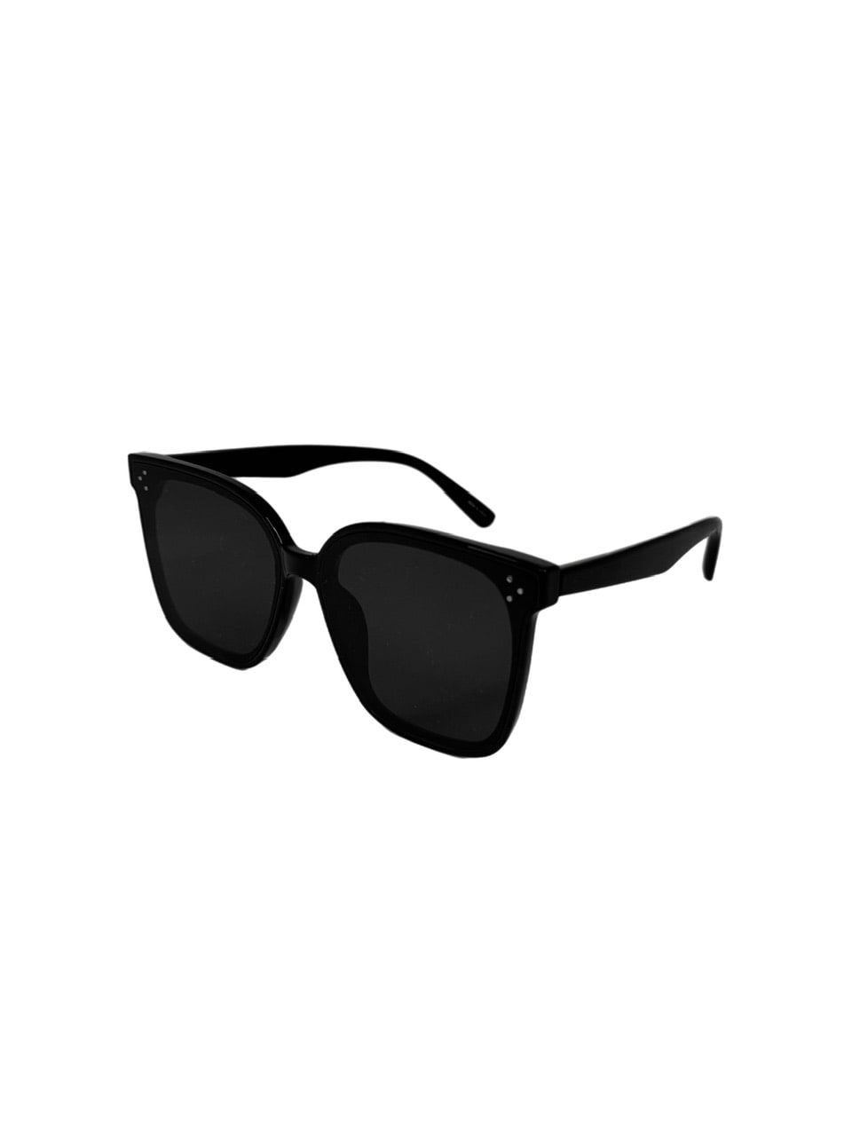受注制【Chikashitsu +】big frame sunglasses 2 (2color) / 【チカシツプラス】ビッグフレームサングラス