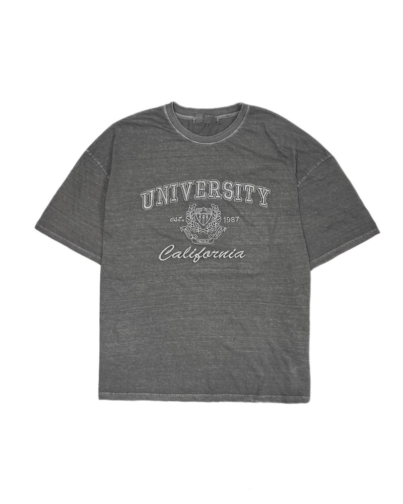 受注制【Chikashitsu +】pigment university t-shirt (3color)