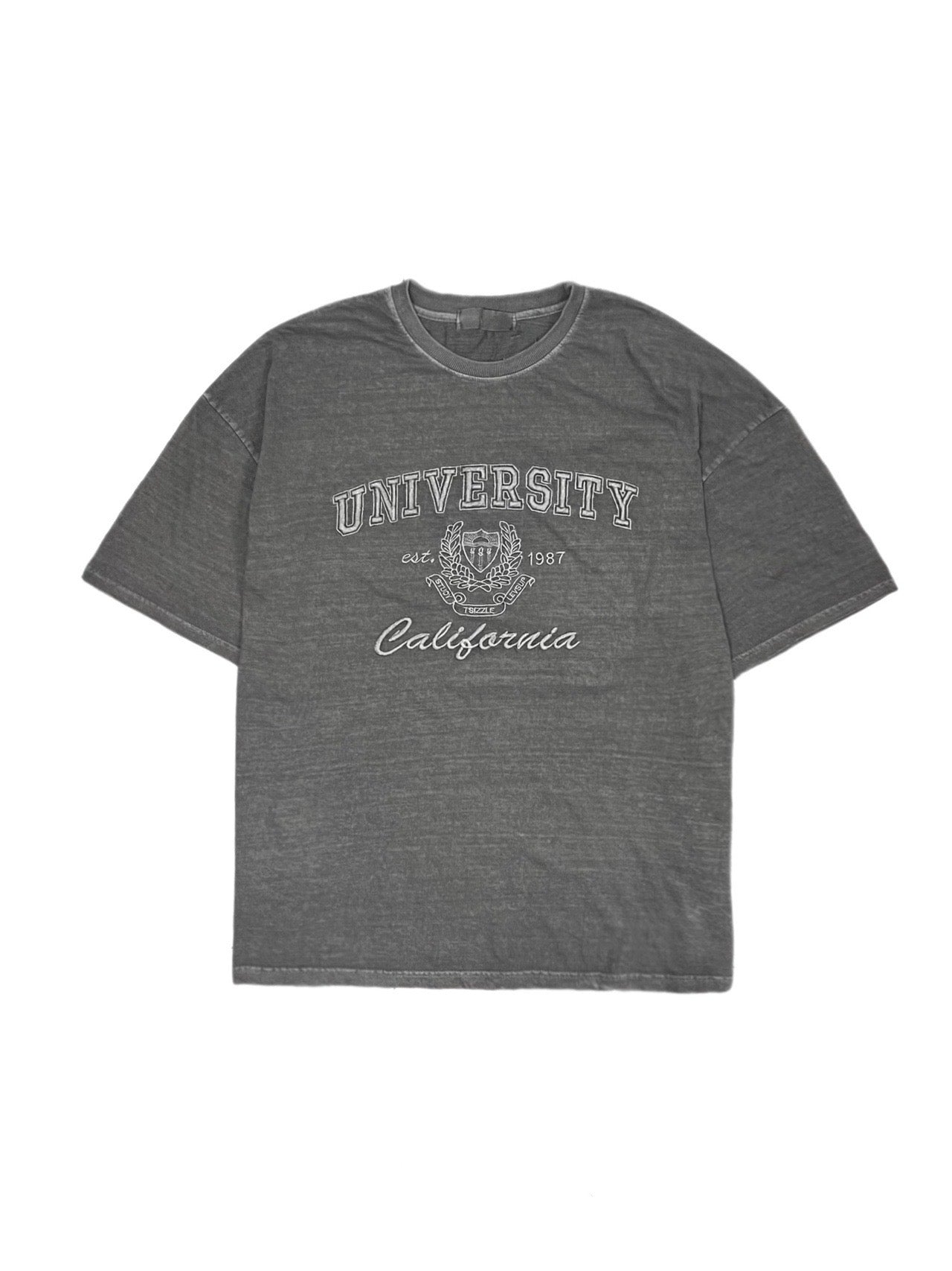 受注制【Chikashitsu +】pigment university t-shirt (3color)