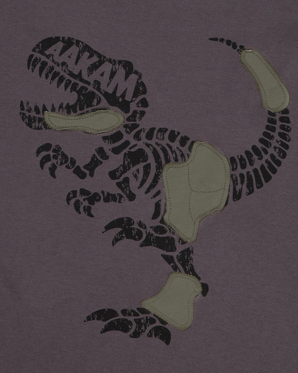 【AAKAM】Dino Patch Half Top