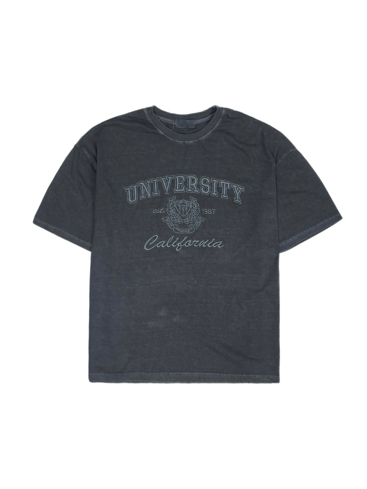 受注制【Chikashitsu +】pigment university t-shirt (3color)