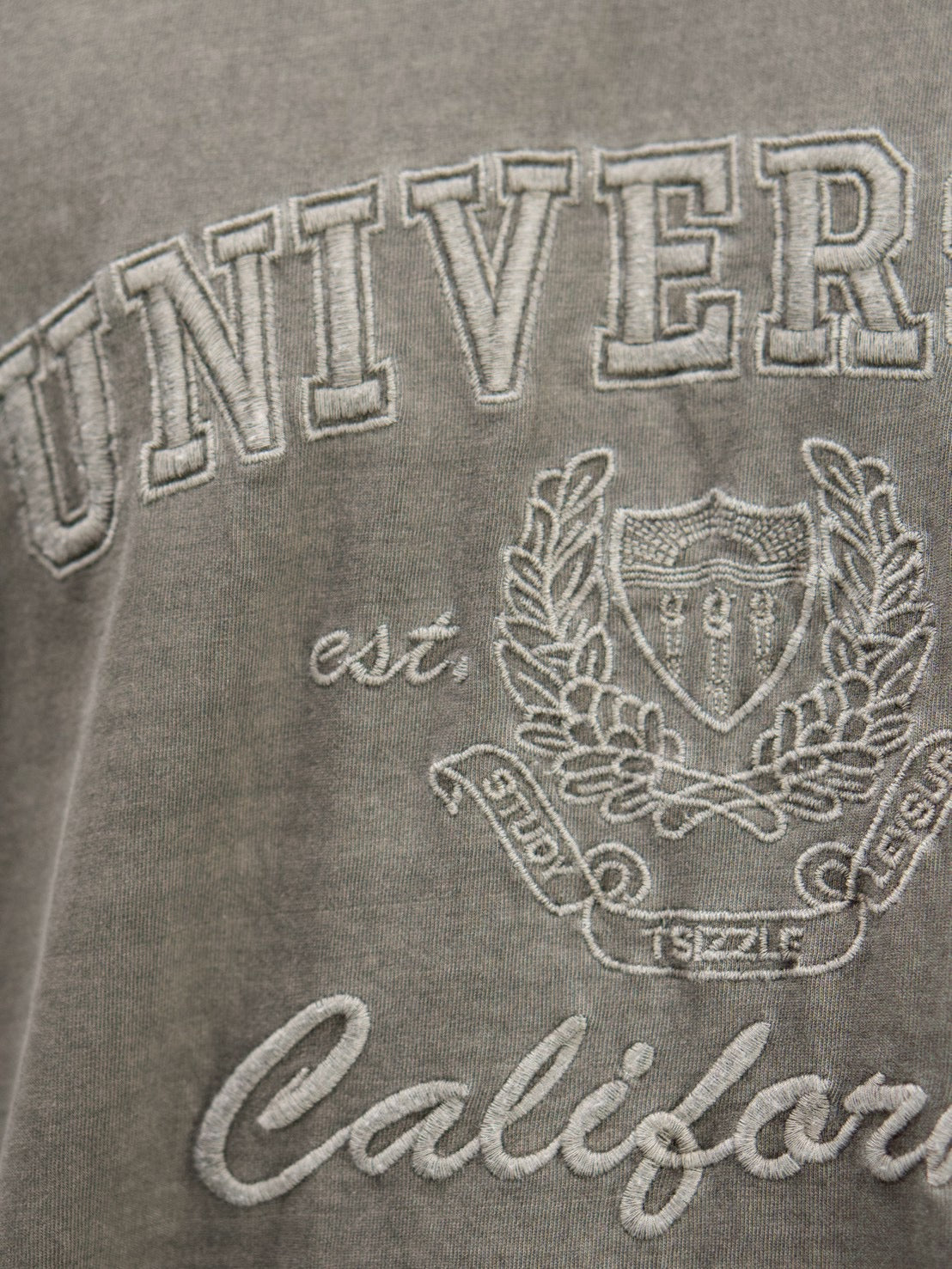 受注制【Chikashitsu +】pigment university t-shirt (3color)