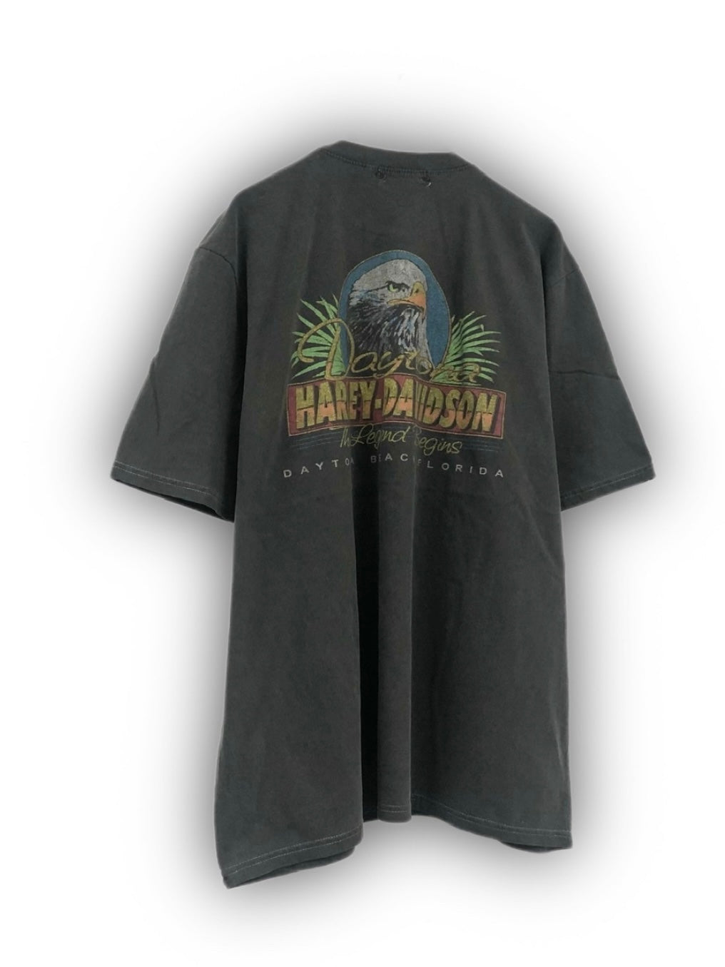 受注制【Never mind the XU】Harley-Davidson tee