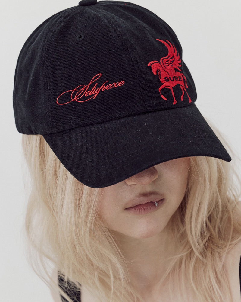 【SETUP-EXE】PEGASUS BALL CAP