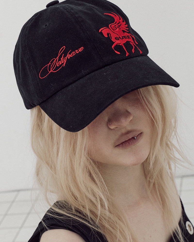 【SETUP-EXE】PEGASUS BALL CAP