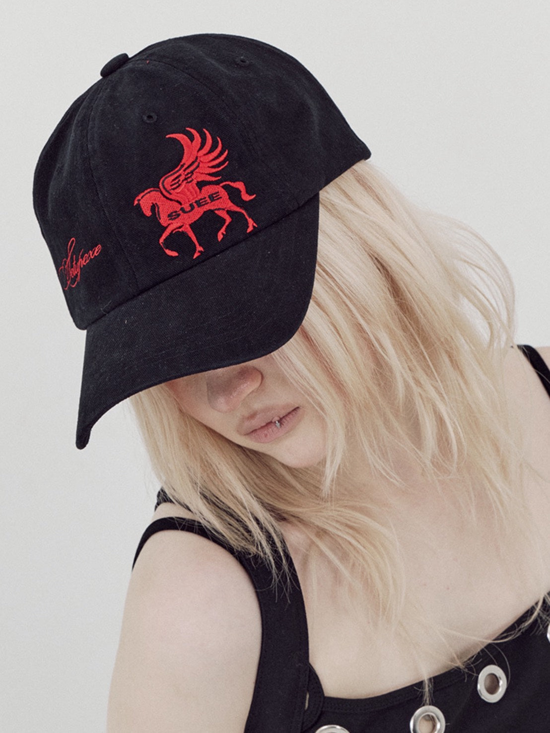 【SETUP-EXE】PEGASUS BALL CAP