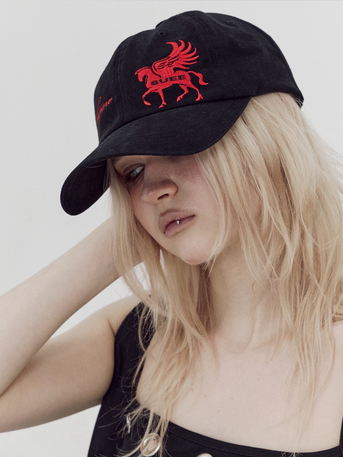 【SETUP-EXE】PEGASUS BALL CAP