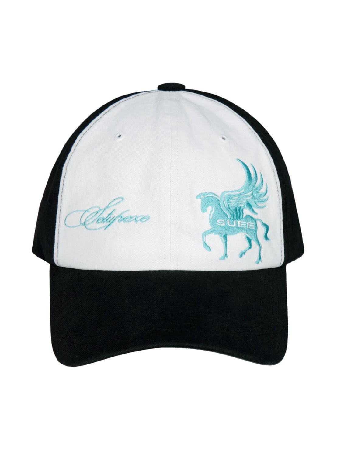 【SETUP-EXE】PEGASUS BALL CAP