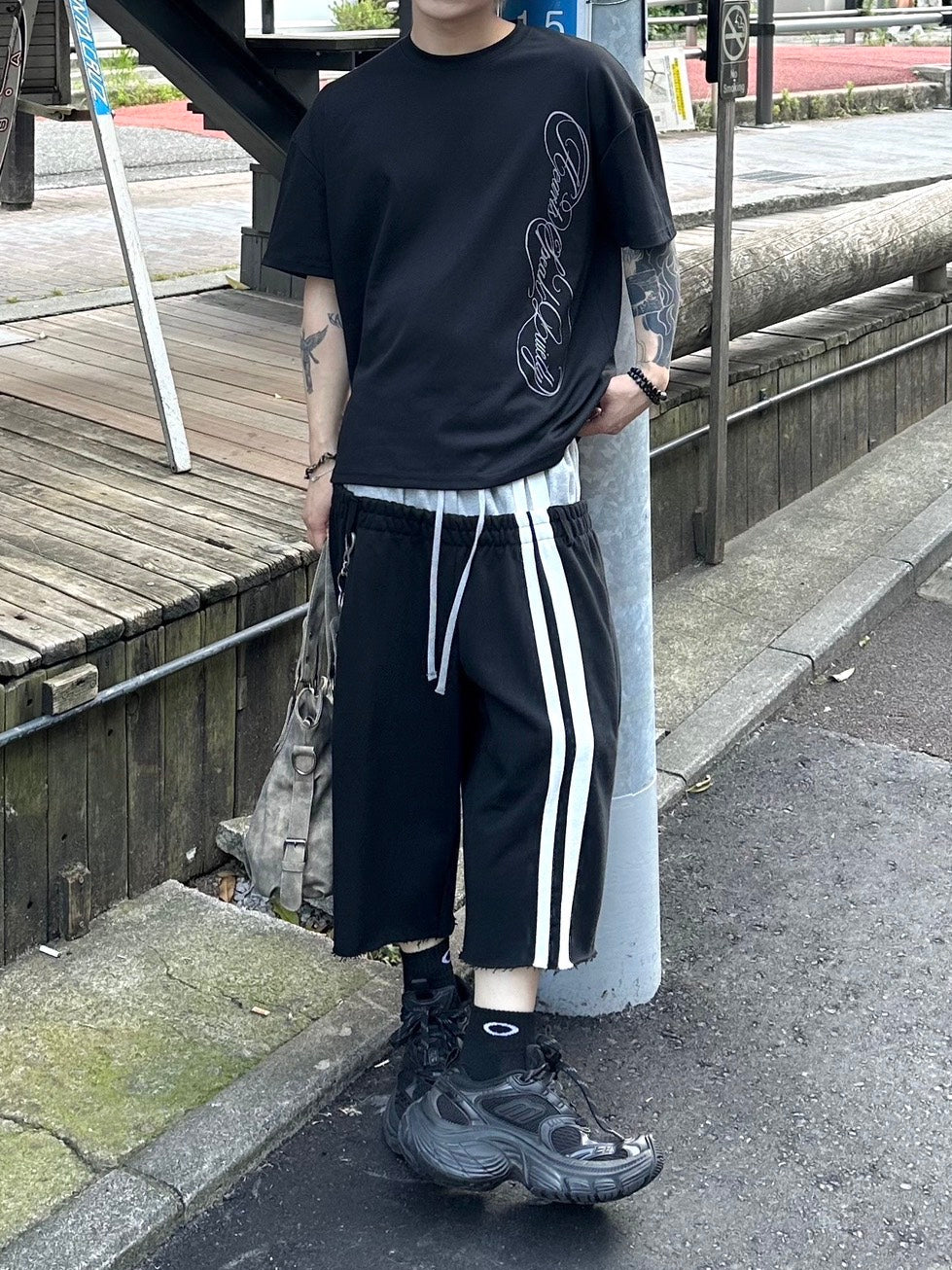 受注制【Chikashitsu +】vertical script crop t-shirt (3color)